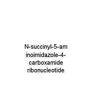 N-succinyl-5-aminoimidazole-4-carboxamide ribonucleotide